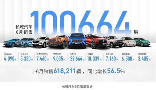 長城汽車展現(xiàn)企業(yè)擔當，2000萬元全力馳援河南汽車銷售產(chǎn)業(yè)